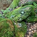 Nagelfluh-Bruchstück