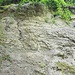 die Steilwand 