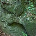 mit grünen Fenstern