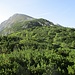  Übersichtiches Gelände zum Schneibstein