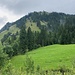 verhangener Ausblick vom Nesselboden aus zum Kreuz oberhalb Schübelsmoosegg