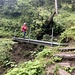 ... auf dem gut angelegten und versicherten Weg zurück zum Nesselboden