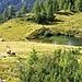 Der Seebergsee oberhalb der Seebergalm