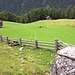 Die Eisawiesen