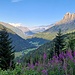 Das Gadmertal