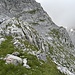 Hier zweigt rechts ein nicht markierter Pfad in den Keller ab, ich belieb aber hier auf dem Wanderweg welcher hier links abzweigt.