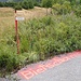 Mit sehr viel Enthusiasmus wurde der neue Weg markiert. Steine, Bäume, Büsche, Strasse und sogar ein Tannenzapfen leuchten nun in rosa.