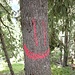 Gerade Striche kann jeder, der Weg zur Bietschhornhütte aber ist mit Smileys markiert!