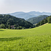 Rüber in die Nordostflanke von "Am Schänzle". In der nächsten Einsattelung (Schmiederskreuz) Blick auf die nächste Rodungsinsel: klar, es ist die vom Schmi(e)derhof. 