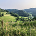 Im Sattel zwischen Farrenkopf und Winterberg dieser malerische Blick gen Reutegrund. Auf den Bergrücken dahinter verlief meine bisherige Route.