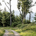 Nordwestwärts gen Sattel zum Winterberg hin.