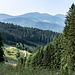 Ostwärts geschwenkt und Höhe haltend, vorbei auch an einem Blick in die Rodungsinsel des Kurzbachhofs.