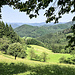Nordostblick dem Hauserbach abwärts folgend.