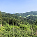 Angekommen am Stümmel (605 m), ein das Hauserbachtal südwestlich begrenzender "Gipfel" ... naja, tatsächlich-sprichwörtlich ist er aber eher ein Stümmel im Sinne von Gupf ;-) Südostblick gen Prechtaler Schanze, links mein nächstes "Gipfel"ziel.