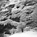 Winter Impressionen Lauterbrunnental (Staubbachfall)
