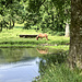 Teich an der jungen Mosel. Die Moselquelle haben wir verpasst, sie läge nahe östlich.
