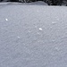 Schnee im Plättchenformat