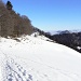 Nach Hind.Rotstein