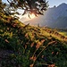 Lichtspiel