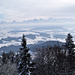 Aussicht Bantigerturm: die Alpen im Dunst