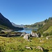 vorher am Spullersee vorbei.....