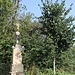 Betsäule