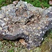 Kieselsandstein mit Eisenbindung