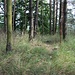 Supí vrch (Geiersberg)
