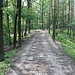 Kammweg, die stark geliederten Felsgründe links und rechts sind wahre Irrgärten.