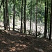 Der Hangweg an der Flanke des Střezivojický důl läuft ein Seitental aus.
