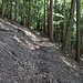 Hangweg