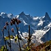 Dent du Geant