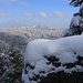 Aussicht von der Felsformation auf dem Rücken des Roc du Taurupt über den Winterwald zum Le Donon (1008m).