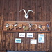 Stall in Mittel Ascharina