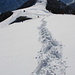 La mia traccia sulla neve immacolata in direttissima verso la cima Vaccaro