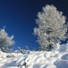 wunderschöne Winterlandschaft
