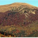 Muntele Clabucetul Maneciului vis-a-vis de lac - 1460m 