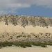 Fuerteventura - Sanddünenwände