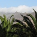 Fuerteventura  Esquinzo - die Palmen verschönern den Blick in die Wüstenberge