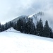 Auf und Ab entlang dem Gratrücken zum Wildspitz (in der Sonne)