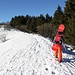 <b>Da Murelli il sentiero fiancheggia la fitta piantagione di abeti rossi dell’Alpe di Gotta</b>.