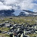 Durch den Dovrefjell-Nationalpark auf die Snøhetta (2286 m)