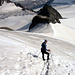 Abstieg zum Oberen Guslarjoch (3361m)
