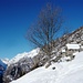 Am Abstieg vom Rifugio Alpe Costa - Blick zum Zucchero und Passo di Redorta