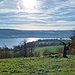 Der Untersee mit Schweizer Ufer