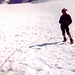 Karri am Gipfel der Weißseespitze