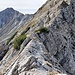 Friedergrat mit Abstecher auf die Kreuzspitze (2185 m)