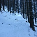 Wenig Schnee beim Anstieg durch den Wald