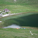 Lago e Alpe di Tom 2026m