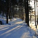 Lehrpfad unterhalb des Kochenberges